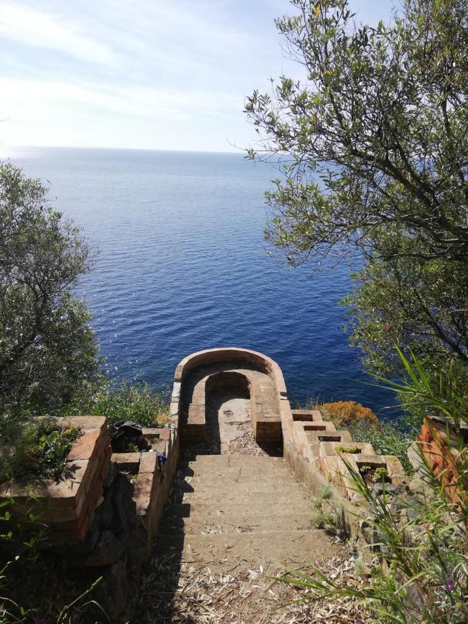 B&B Centro Storico 900 Palmi Bagian luar foto